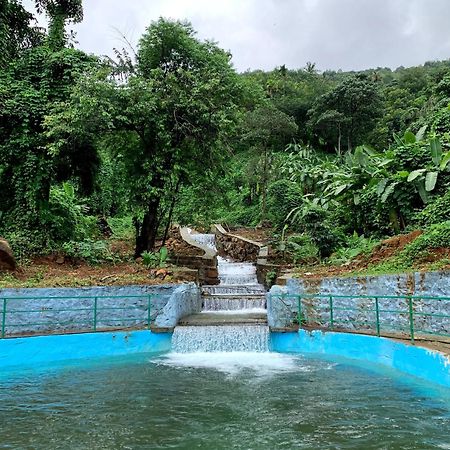 Royal Mount Inn Resorts Paithalmala 外观 照片